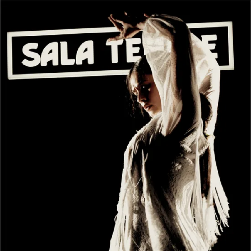 Flamenco Show Madrid with vegan options